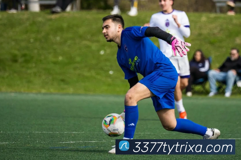 3377体育APP 封面图