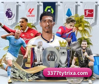 3377体育 APP（3377Sports）