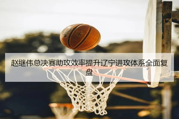 赵继伟总决赛助攻效率提升辽宁进攻体系全面复盘（3377Sports）